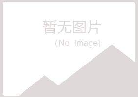 青岛李沧匆匆培训有限公司